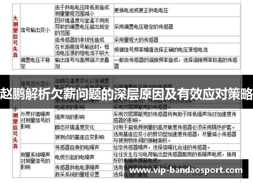赵鹏解析欠薪问题的深层原因及有效应对策略