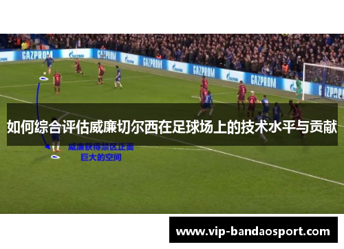 如何综合评估威廉切尔西在足球场上的技术水平与贡献