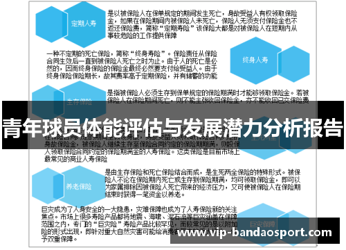 青年球员体能评估与发展潜力分析报告