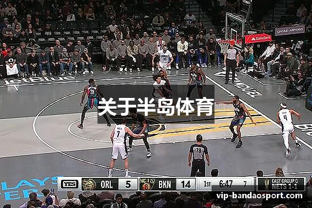 关于半岛体育